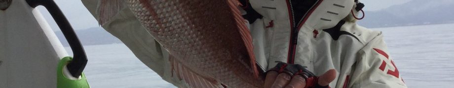 お久しぶりです。