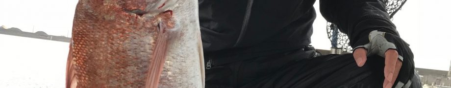 写真が送れてなかったですね～(￣▽￣)