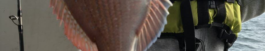 将来楽しみだ〜〜