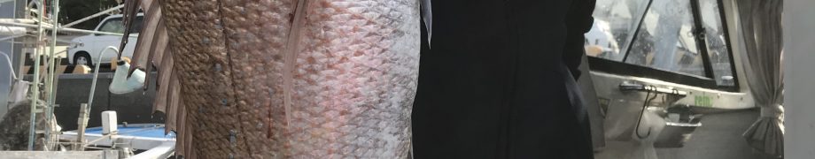 雲仙に雪が、、、