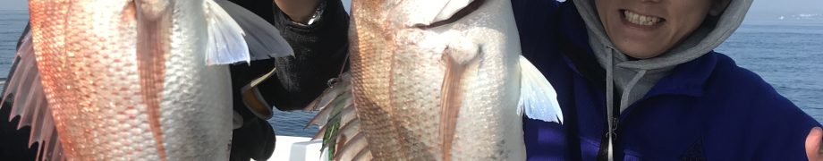 釣れてます。