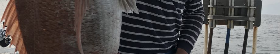 遂に来ました*\(^o^)/*