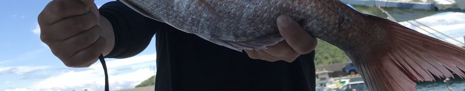 厳しかばい
