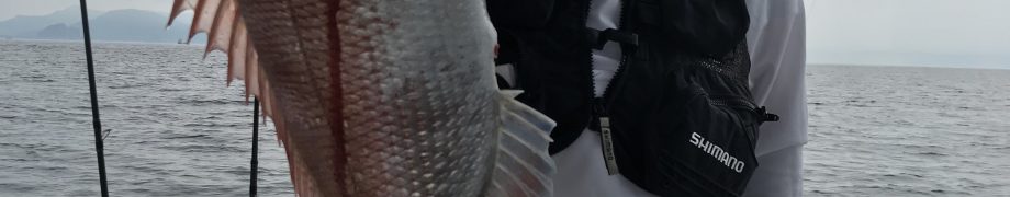 30日午前便
