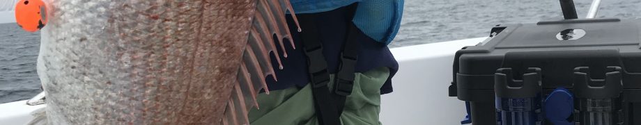 主役は小5*\(^o^)/*