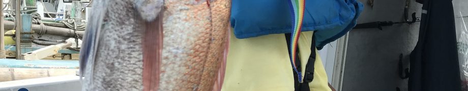 またまた主役*\(^o^)/*
