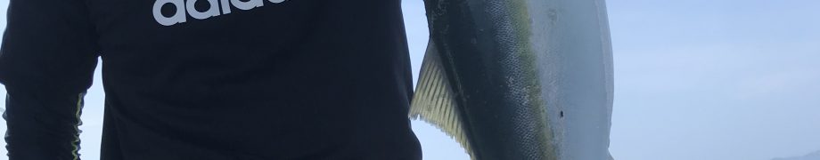こんなゲストが