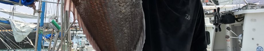 リリースされました