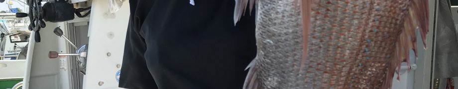 海が、、、