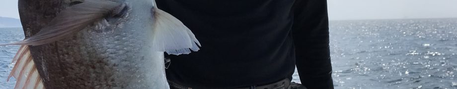 来たじょ！