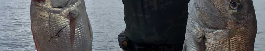 流石*\(^o^)/*