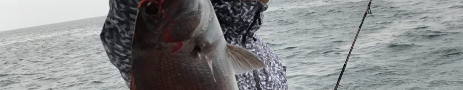 一年ぶりに＼(^-^)／