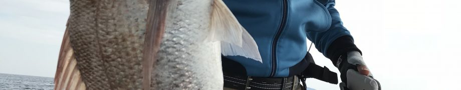 苦節1年3ヶ月