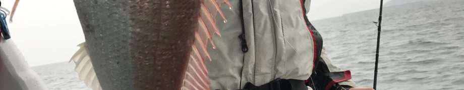 雨にも負けず(*^ω^*)