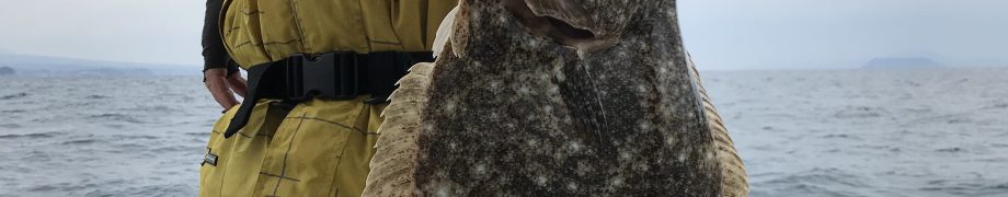 明けましておめでとうございます。