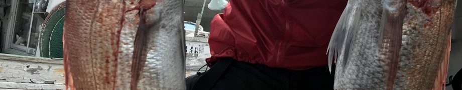 いいね