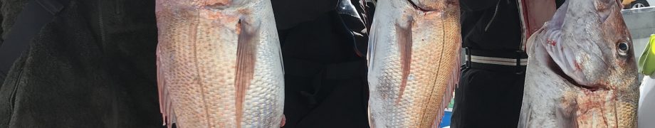 良いですね〜