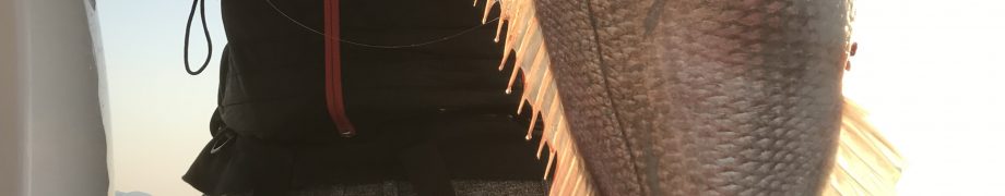 トドメに
