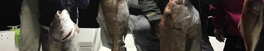お父さんカッコウィーその2