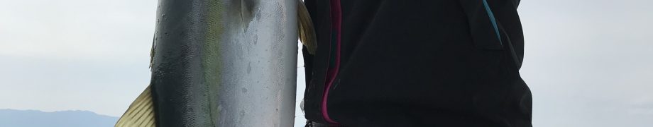デビュー戦