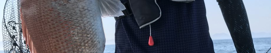 20日昼便