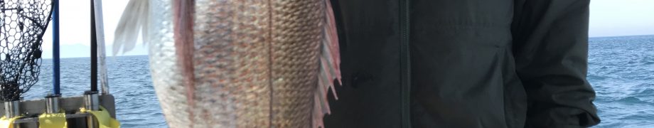 オーリャッ(つД`)ノ