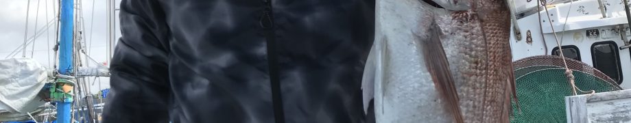 真っ白