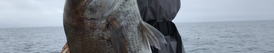 平成最後の朝に