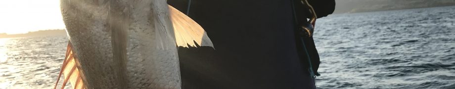 3日午後便