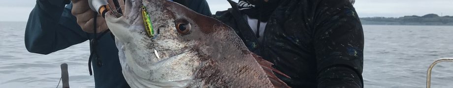 帰る前に