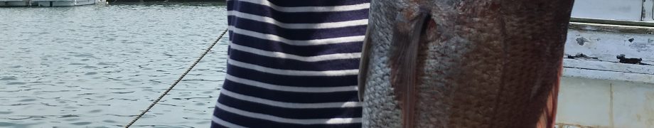 根がかりが