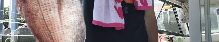 31日分です。