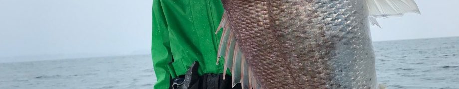 久々に