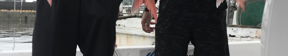 鯛オンリー