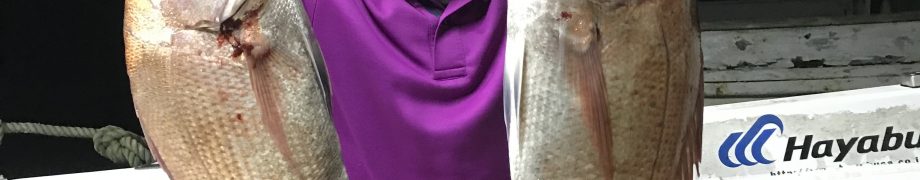 ボチボチ
