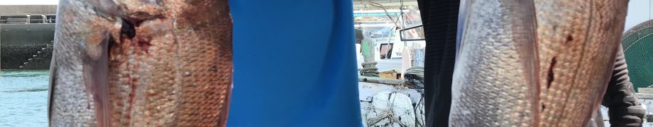 ようなりつつあります