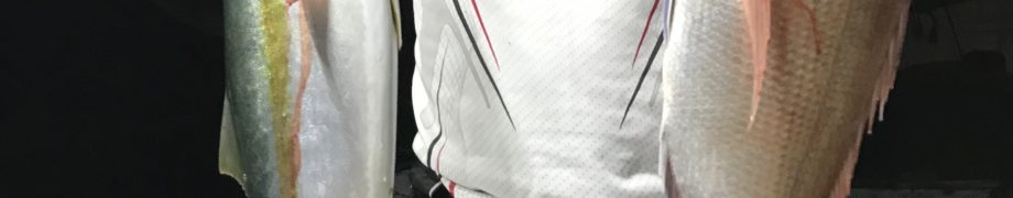 昼からは